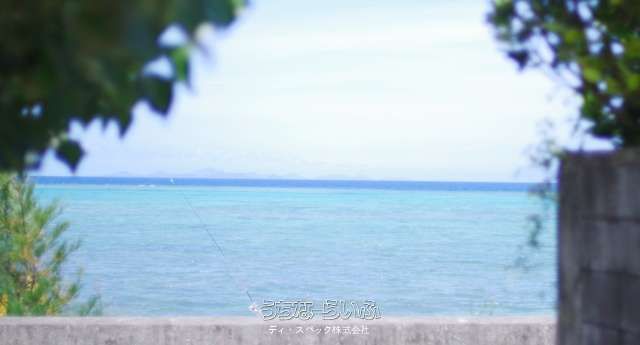 318.47m² Land for Sale in Nakijin, Okinawa - 5 Min Walk to Sea - Thumbnail 4
