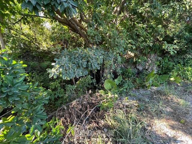 Land for Sale in Nakagusuku Village, Okinawa - 178.98m² Plot - Thumbnail 3