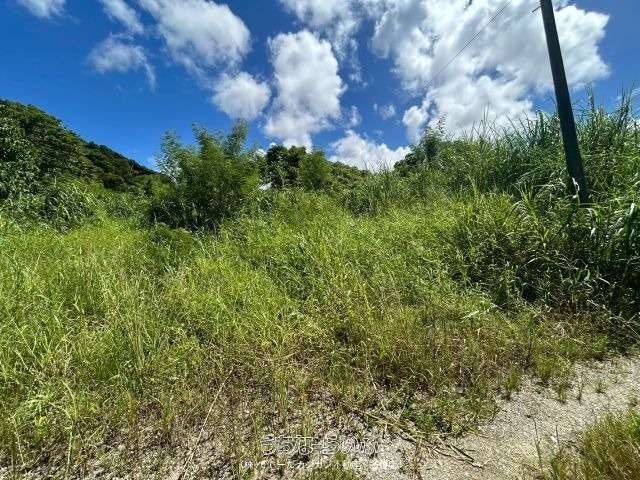 2,051 sqm Development Land for Sale in Nago, Okinawa - Thumbnail 4