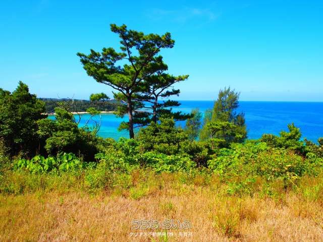 3631㎡ Ocean View Residential Land in Nago City, Okinawa - Thumbnail 4