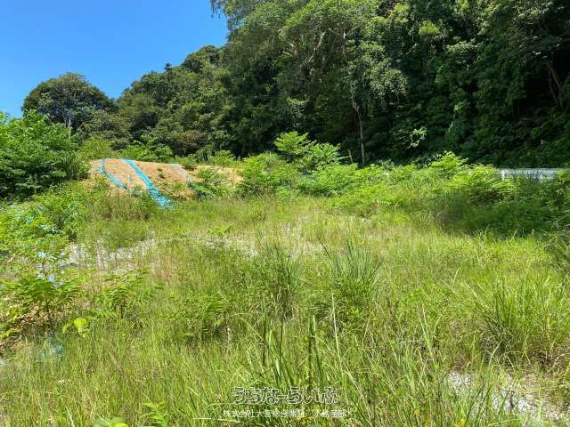 2655㎡ Development Land for Sale in Motobu, Okinawa - Thumbnail 2