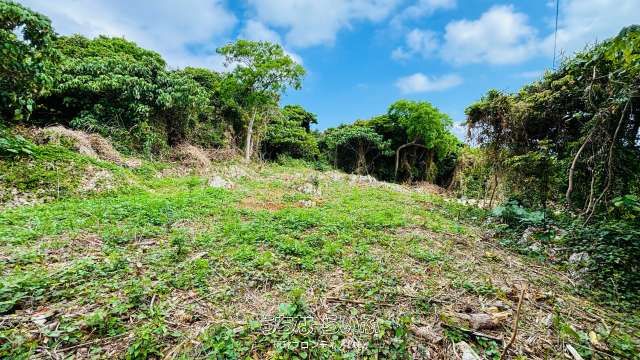 Land for Sale in Kouri, Nakijin with Sea and Bridge Views - Thumbnail 4