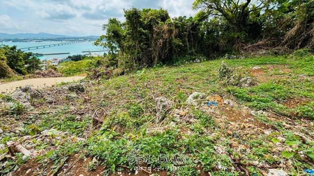 Land for Sale in Kouri, Nakijin with Sea and Bridge Views - Thumbnail 3