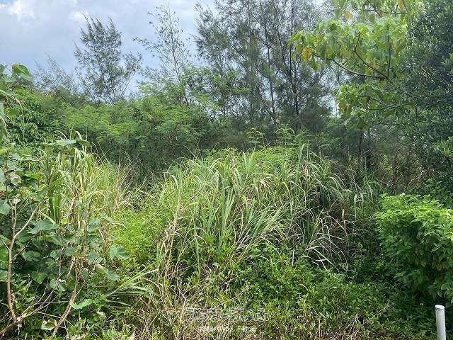 2191 sqm Land for Sale in Amamiya, Nago City, Okinawa - Thumbnail 4
