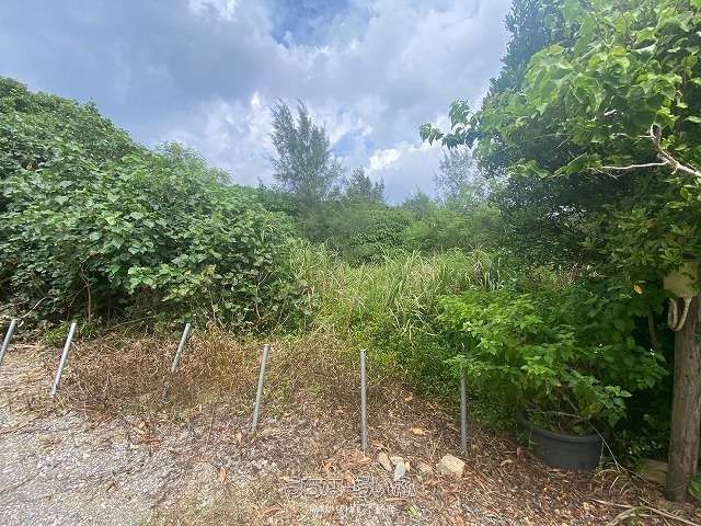 2191 sqm Land for Sale in Amamiya, Nago City, Okinawa - Thumbnail 3