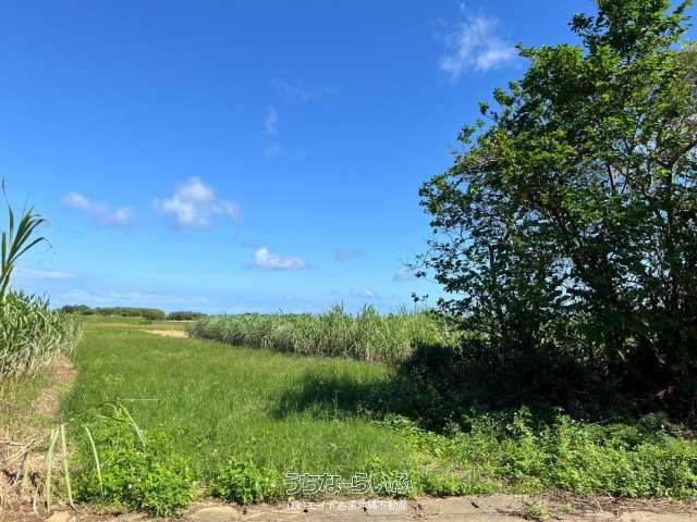 733 sqm Land for Sale in Ie Village, Okinawa - Military Area Investment - Thumbnail 4