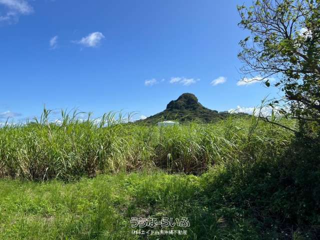 733 sqm Land for Sale in Ie Village, Okinawa - Military Area Investment - Thumbnail 2