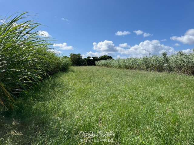 733 sqm Land for Sale in Ie Village, Okinawa - Military Area Investment - Thumbnail 3