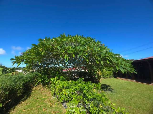 Shop with Residence for Sale in Miyara, Ishigaki City - Thumbnail 2