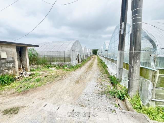 11,399 sqm Agricultural Land for Sale in Nago, Okinawa - Thumbnail 4