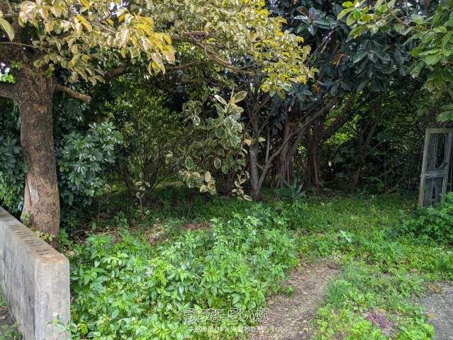 1847㎡ Land for Sale in Yonashiro, Uruma City, Okinawa - Thumbnail 4