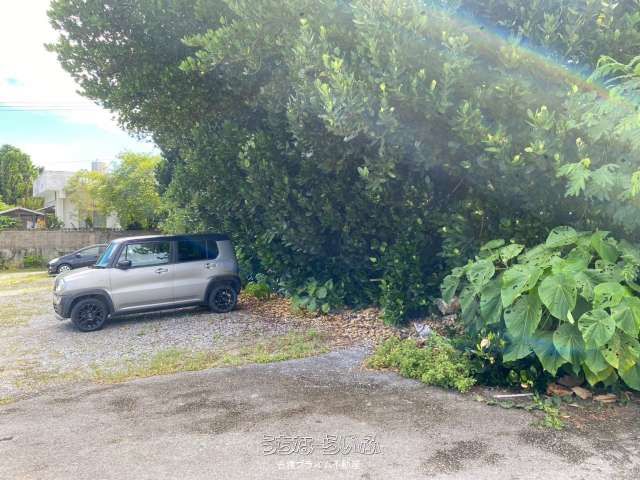 285m² Commercial Land for Sale in Motobu, Near Churaumi Aquarium - Thumbnail 4