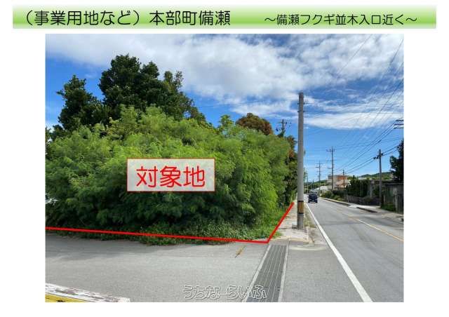 285m² Commercial Land for Sale in Motobu, Near Churaumi Aquarium - Image 1