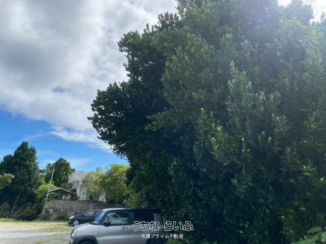 285m² Commercial Land for Sale in Motobu, Near Churaumi Aquarium - Thumbnail 2