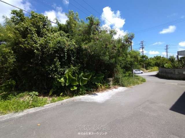 307㎡ Agricultural Land for Sale in Yaese Town, Okinawa - Thumbnail 3