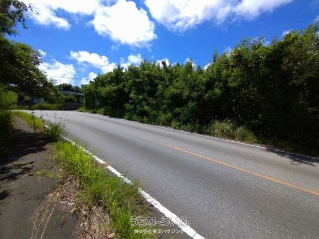 307㎡ Agricultural Land for Sale in Yaese Town, Okinawa - Thumbnail 2