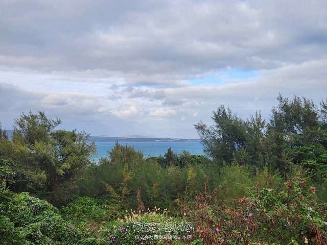 34,039 sqm Land for Sale in Uruma, Okinawa - Unspecified Use - Thumbnail 3