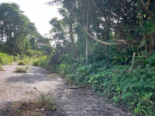 755m² Development Land for Sale in Kuta, Nago City, Okinawa - Image 1