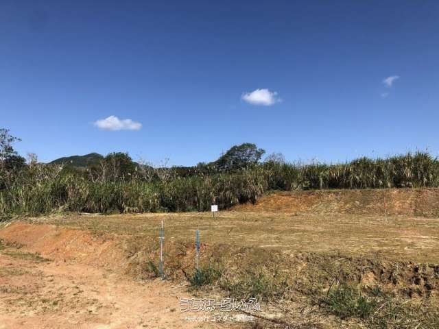 305.67 m² Hilltop Residential Land for Sale in Nago, Okinawa - Thumbnail 4