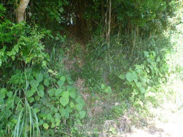 661m² Land for Sale in Yaga, Nago - Near the Sea - Image 1