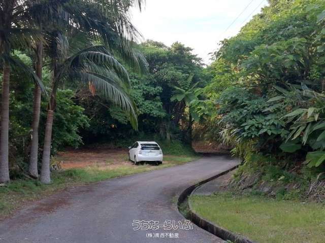 4154 sqm Agricultural Land for Sale in Noso, Ishigaki - Thumbnail 3