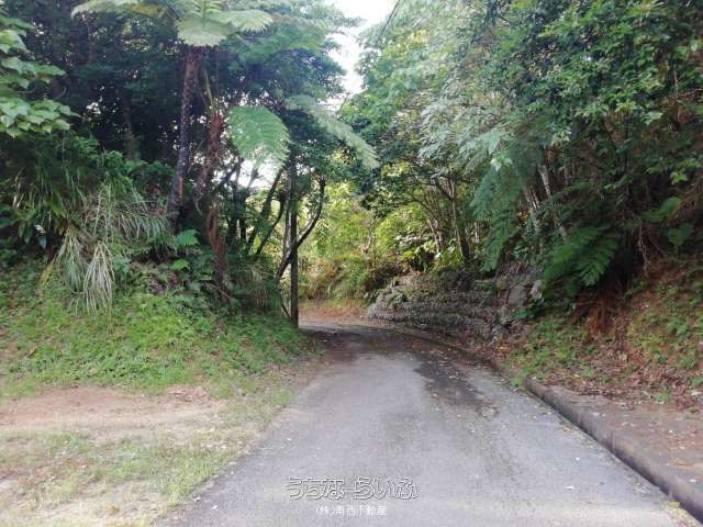 4154 sqm Agricultural Land for Sale in Noso, Ishigaki - Thumbnail 2