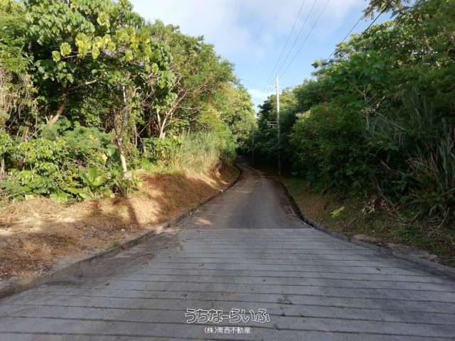 4154 sqm Agricultural Land for Sale in Noso, Ishigaki - Thumbnail 4