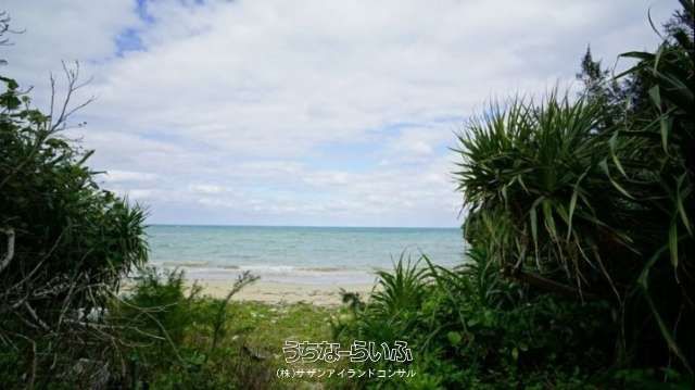 330m² Land for Sale in Yaga, Nago City, Okinawa - Thumbnail 4