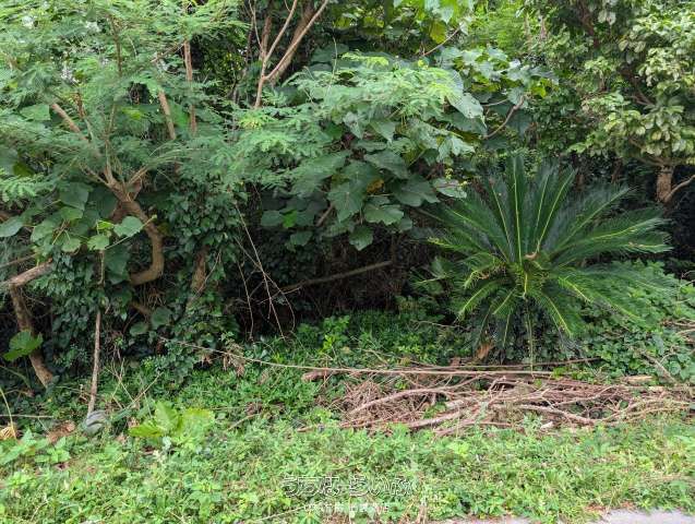 633m² Land for Sale in Motobu Town, Okinawa - Versatile Plot - Thumbnail 2