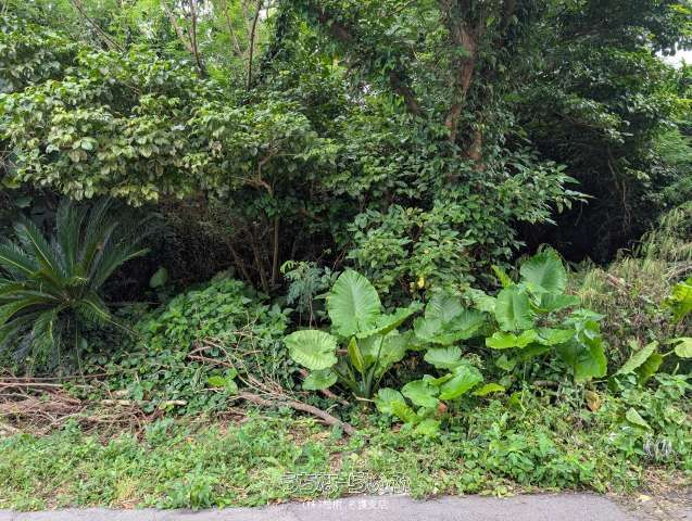 633m² Land for Sale in Motobu Town, Okinawa - Versatile Plot - Thumbnail 4