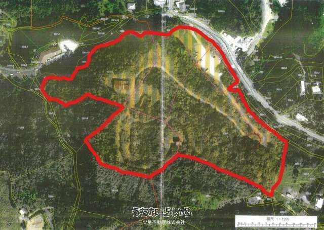 44,656 sqm Development Land for Sale in Motobu, Okinawa