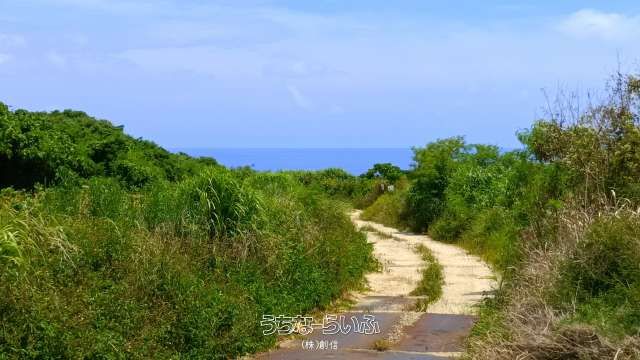 2131 sqm Land for Sale in Itoman, Okinawa with Ocean Views - Thumbnail 2