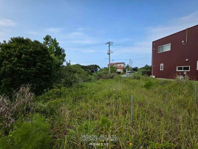 100 sqm Land Plot for Sale in Nakijin Village, Okinawa - Thumbnail 3