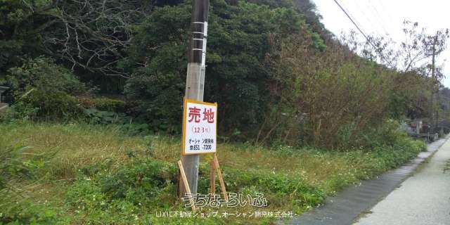 407 sqm Land for Sale in Hama, Kunigami Village, Okinawa - Thumbnail 3