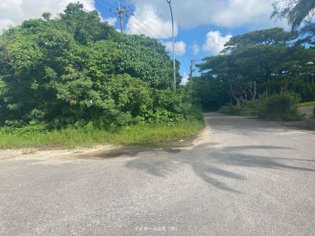 9091m² Land for Sale in Tonoshiro, Ishigaki City, Okinawa - Thumbnail 4