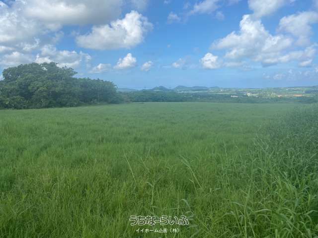 9091m² Land for Sale in Tonoshiro, Ishigaki City, Okinawa - Thumbnail 2