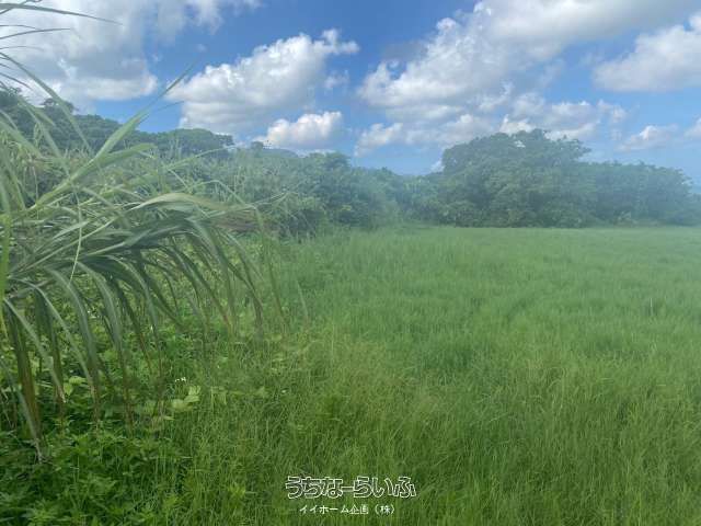 9091m² Land for Sale in Tonoshiro, Ishigaki City, Okinawa - Thumbnail 3