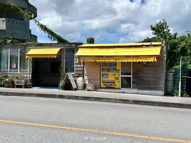 Operating Parlor for Sale in Uruma, Okinawa - 111.81 sqm Land - Thumbnail 4