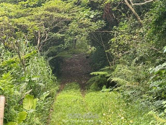 5604 sqm Land for Sale in Mihara, Nago City, Okinawa - Thumbnail 4