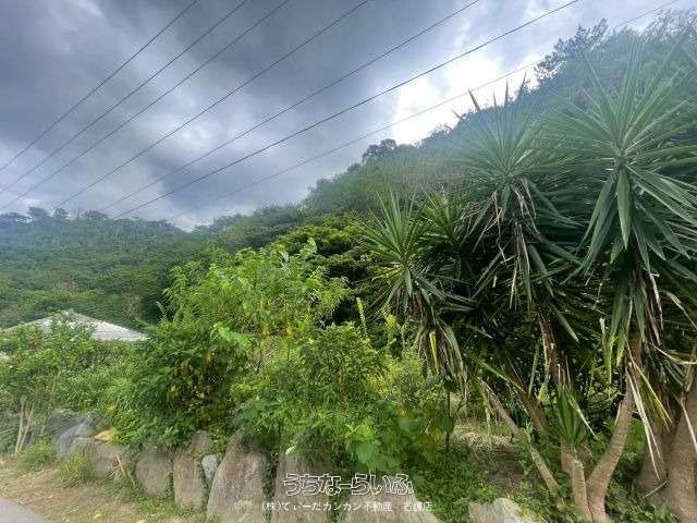 5604 sqm Land for Sale in Mihara, Nago City, Okinawa - Thumbnail 3