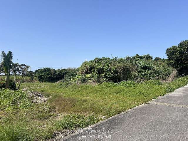 1461 sqm Agricultural Land for Sale in Miyakojima, Okinawa - Thumbnail 4