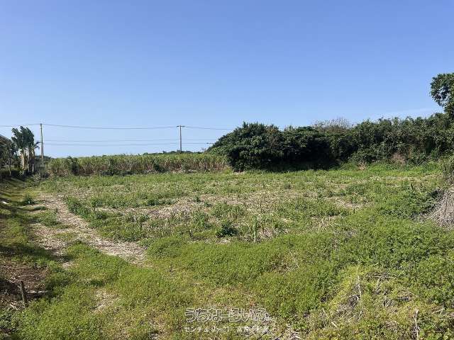 1461 sqm Agricultural Land for Sale in Miyakojima, Okinawa - Thumbnail 3