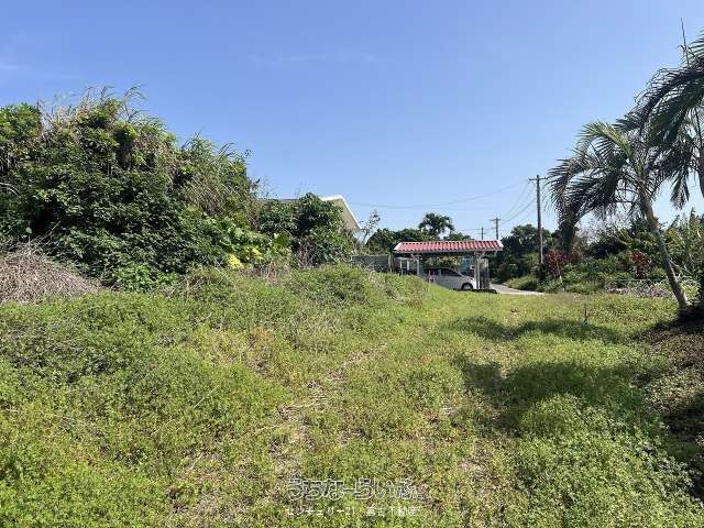 1461 sqm Agricultural Land for Sale in Miyakojima, Okinawa - Thumbnail 2