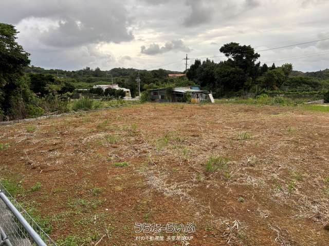 2603 sqm Land for Sale in Nakijin Village, Okinawa - Thumbnail 2