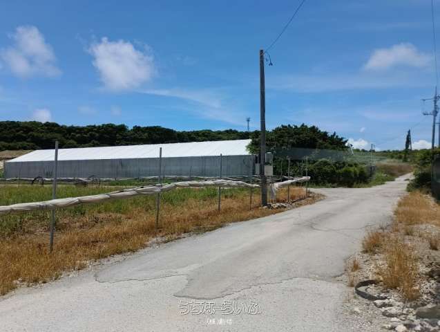 Vinyl Greenhouse Land for Mushroom Cultivation in Itoman, Okinawa - Thumbnail 4
