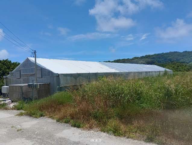 Vinyl Greenhouse Land for Mushroom Cultivation in Itoman, Okinawa - Thumbnail 2