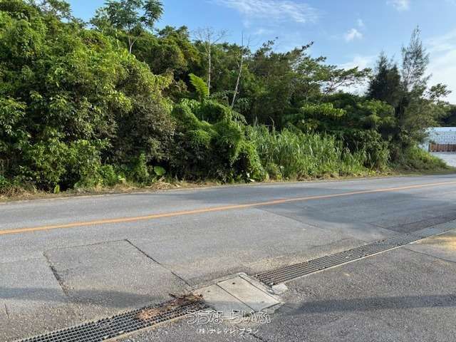 14,670 sqm Commercial Land for Sale in Nago, Okinawa - Thumbnail 4