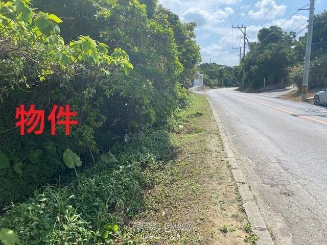 14,670 sqm Commercial Land for Sale in Nago, Okinawa - Thumbnail 3