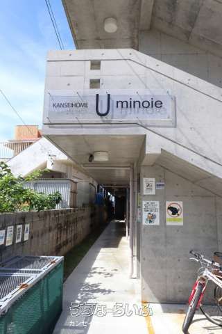 Pet-Friendly 1K Apartment for Rent in Ishigaki City, Okinawa - Thumbnail 4