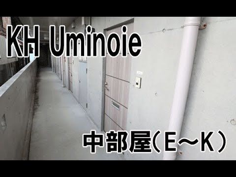 Pet-Friendly 1K Apartment for Rent in Ishigaki City, Okinawa - Thumbnail 2